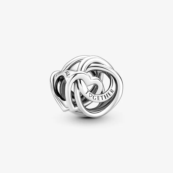 1 Bracelet2 Charms 99 Women Pandora Family Always Encircled Heart Charm