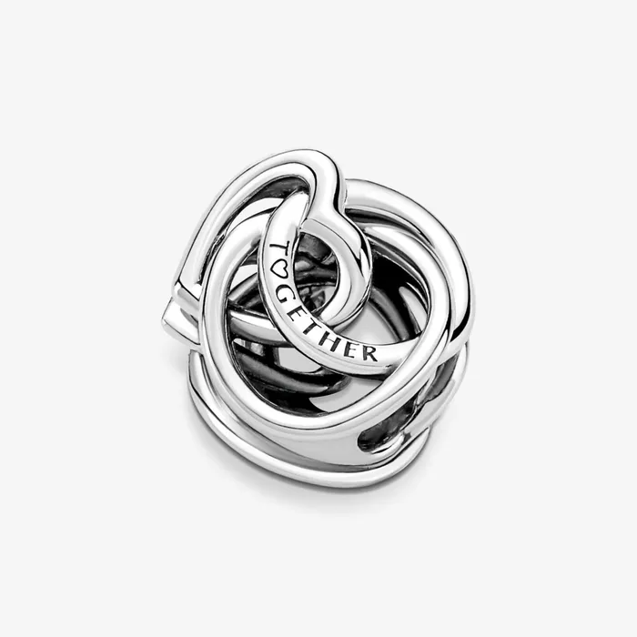 1 Bracelet2 Charms 99 Women Pandora Family Always Encircled Heart Charm
