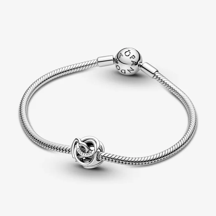 1 Bracelet2 Charms 99 Women Pandora Family Always Encircled Heart Charm