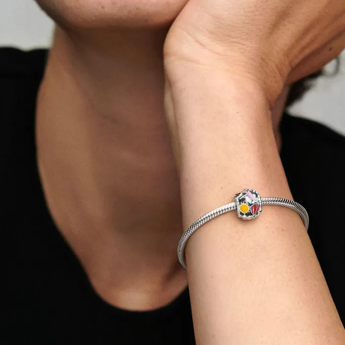 1 Bracelet2 Charms 99 Women Pandora Fly Away Rainbow Sky and Travel Charm
