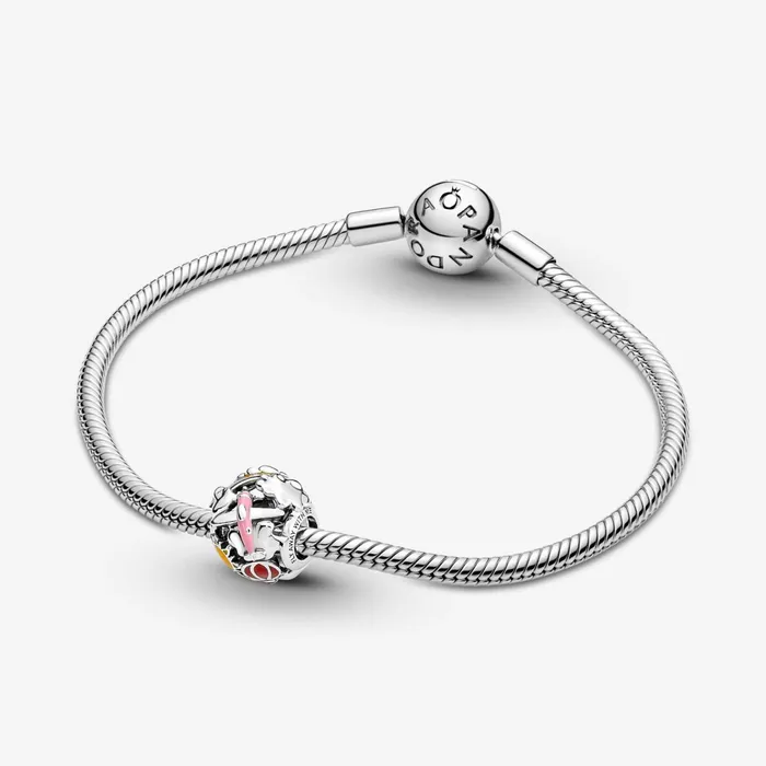 1 Bracelet2 Charms 99 Women Pandora Fly Away Rainbow Sky and Travel Charm