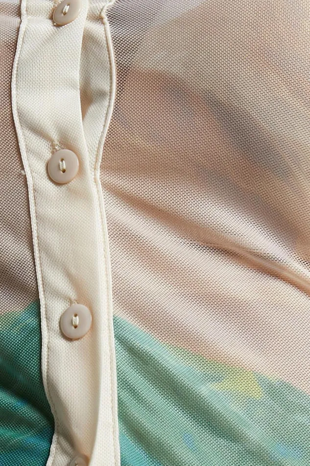 4th and Reckless 8211 Elyanna Top In Sheer Print Women Showpo Tops
