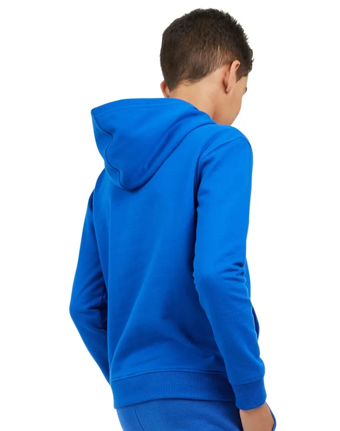 Big Kids039 Fleece Pullover Hoodie Surf The Web Kids Champion Hoodies and Sweatshirts