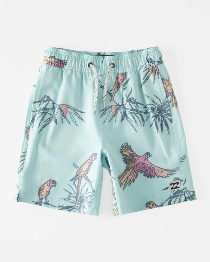 Boy039s 27 Sundays Layback 13034 Boardshorts Mist MenKids Billabong Side Pockets