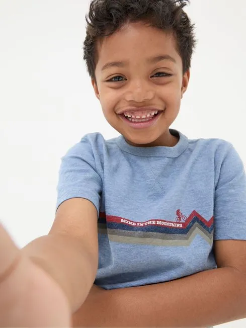 Boys Fatface TShirts and Polos Blue Bike Stripe TShirt