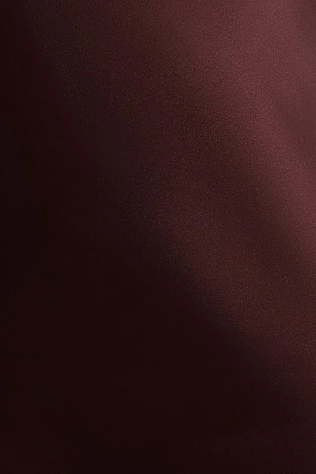 Dynamite Dresses and Jumpsuits Women Amira Satin Maxi Slip Dress Burgundy