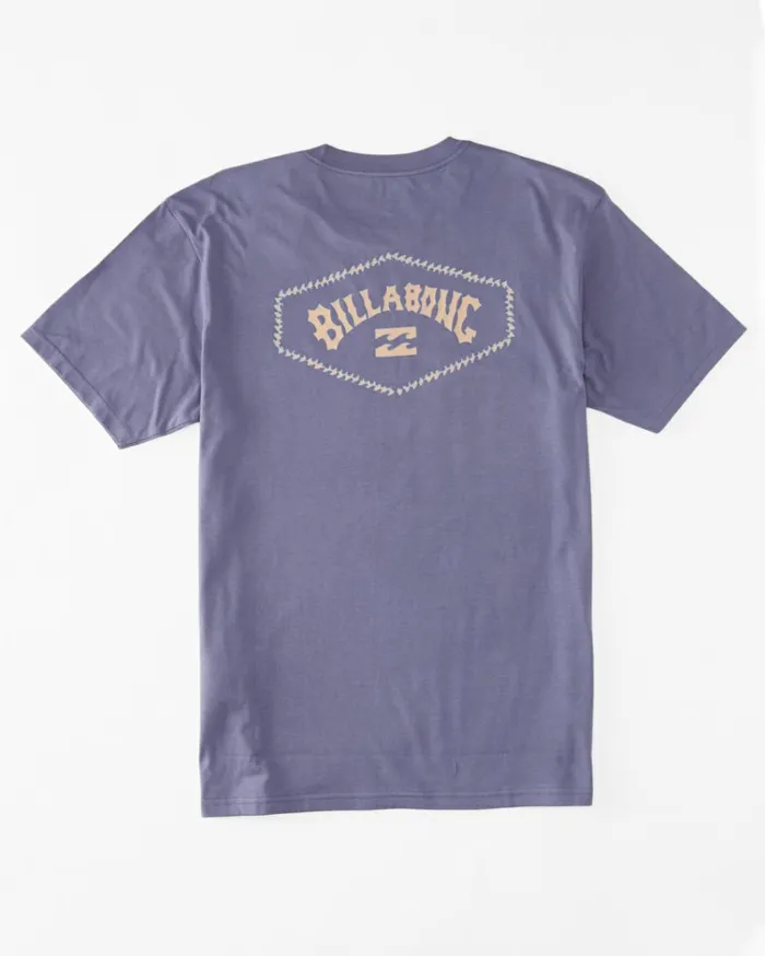Exit Arch TShirt Dusty Grape Men Billabong TShirts