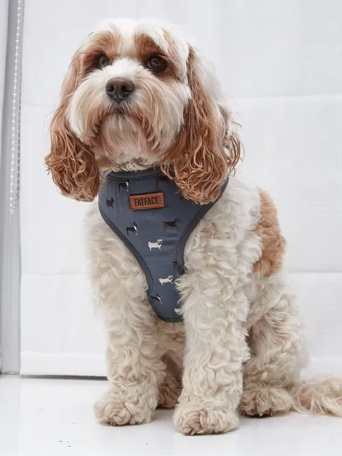 Fatface Pet Accessories Grey Dogs Medium Harness