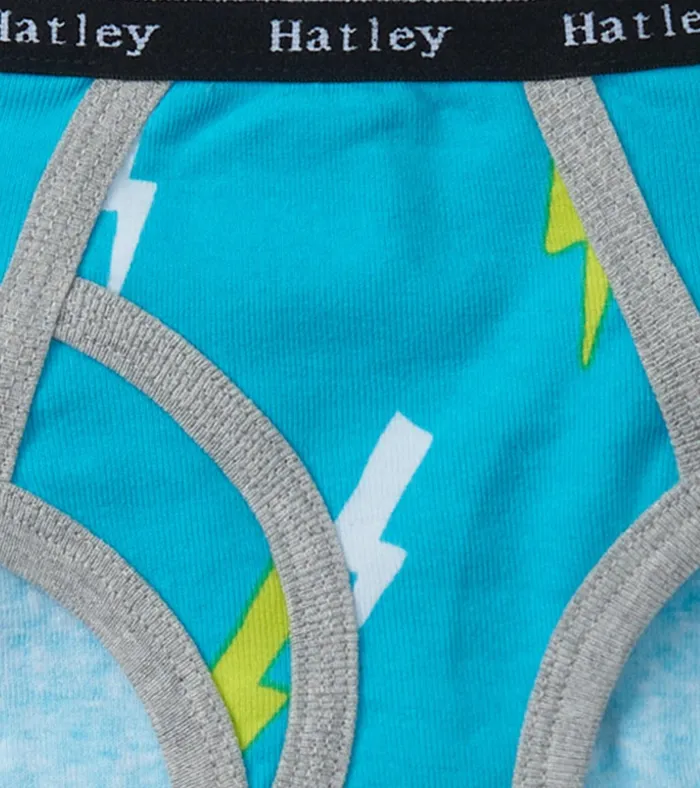 Hatley Boys Silhouette Nature 3 Pack Classic Briefs Boys Underwear