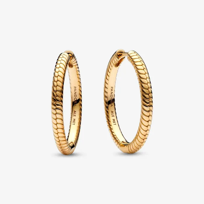 Hoop Earrings Women Pandora Hamsa Hand Moments Hoop Earrings