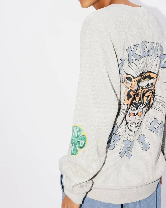 Kenzo Sweatshirts And Hoodies Men Drawn Varsity039 Oversized Sweatshirt Pale Grey