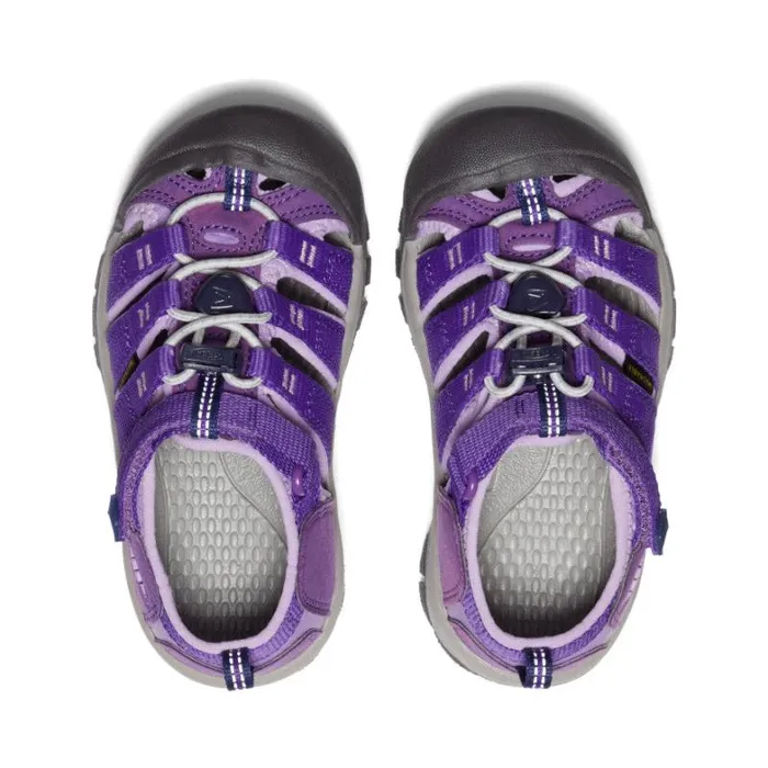 Kids KEEN Online Little Kids039 Purple Water Hiking Sandals 8211 Newport H2 Kids KEEN Online Little Kids039 Purple Water Hiking Sandals 8211 Newport H2