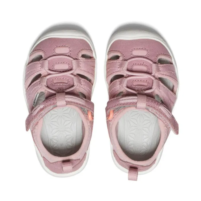 Kids KEEN Water Toddlers039 Moxie Nostalgia RosePapaya Punch Sandal Kids KEEN Water Toddlers039 Moxie Nostalgia RosePapaya Punch Sandal