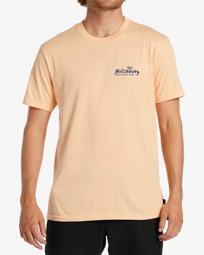 Lounge TShirt Cantaloupe Men Billabong TShirts