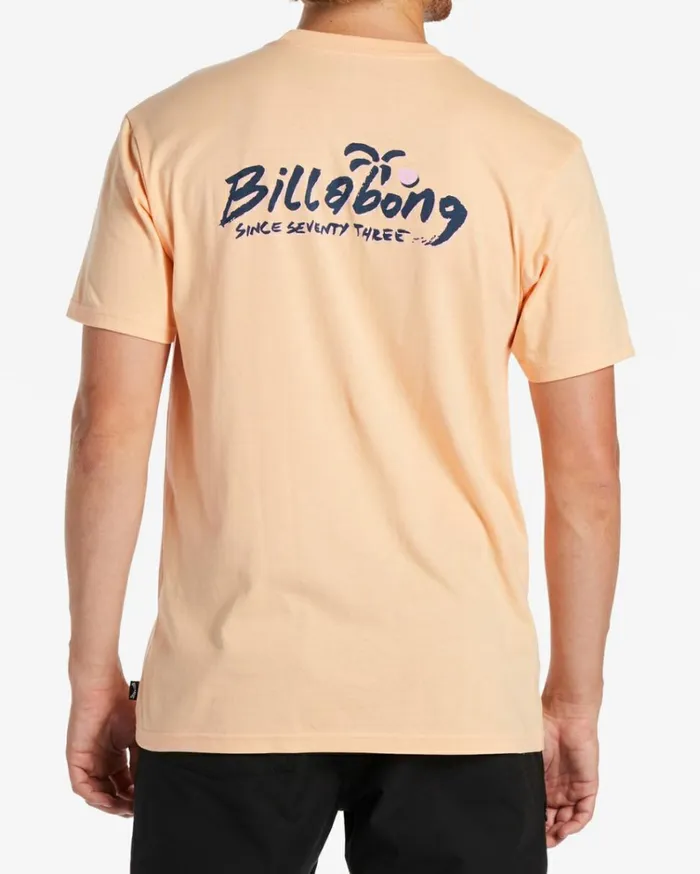Lounge TShirt Cantaloupe Men Billabong TShirts