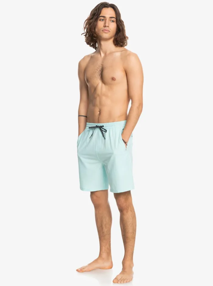 Men Quiksilver Boardshorts Ocean Elastic Waist 18034 Amphibian Shorts Iced Aqua Men Quiksilver Boardshorts Ocean Elastic Waist 18034 Amphibian Shorts Iced Aqua