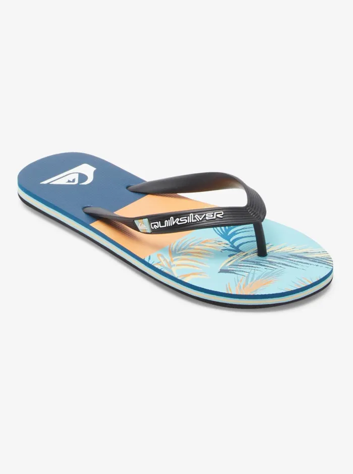 Men Quiksilver Sandals Molokai Panel FlipFlops Blueblackyellow