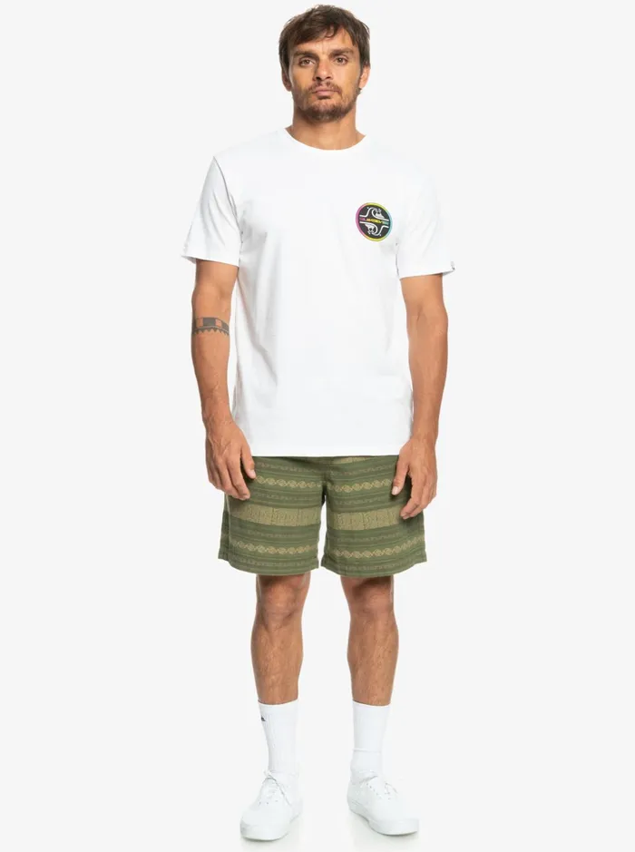 Men Quiksilver Shorts and Amphibians Taxer Jacquard Shorts Four Leaf Clover Taxer Jacquar Men Quiksilver Shorts and Amphibians Taxer Jacquard Shorts Four Leaf Clover Taxer Jacquar