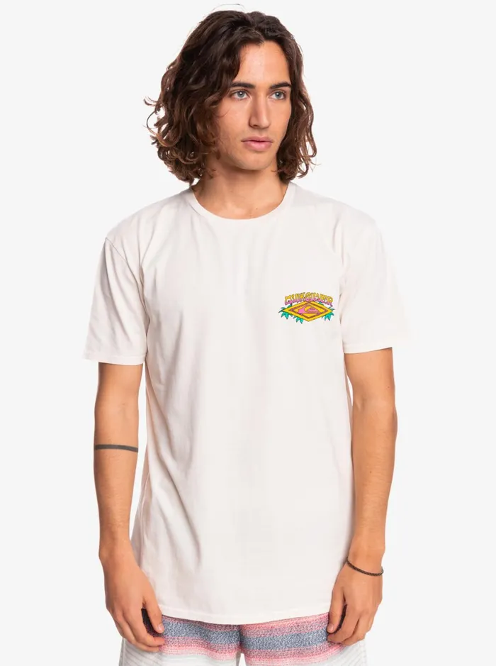 Men Quiksilver Tees Dreamlike Daze Organic TShirt Antique White Men Quiksilver Tees Dreamlike Daze Organic TShirt Antique White