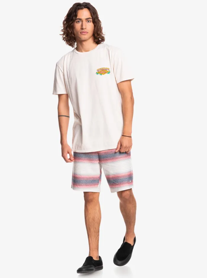 Men Quiksilver Tees Dreamlike Daze Organic TShirt Antique White Men Quiksilver Tees Dreamlike Daze Organic TShirt Antique White