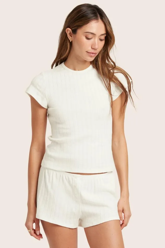 SET ACTIVE Tops Tanks Tees POINTELLE DAINTY TEE 8211 VANILLA 8211 Women