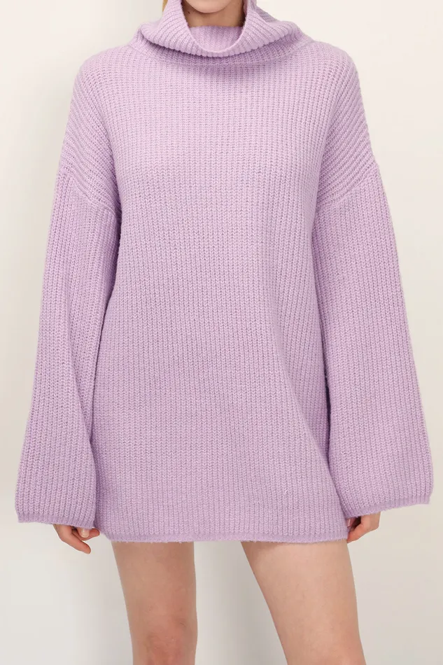 Storets Kinsley Turtle Neck Knit Dress Women Mini Dresses