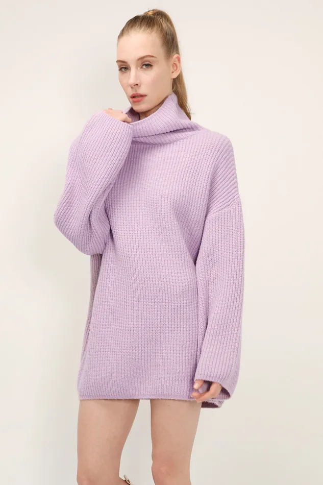 Storets Kinsley Turtle Neck Knit Dress Women Mini Dresses