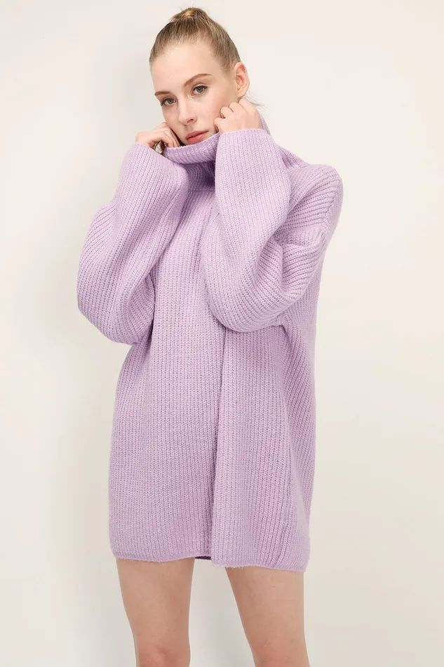 Storets Kinsley Turtle Neck Knit Dress Women Mini Dresses