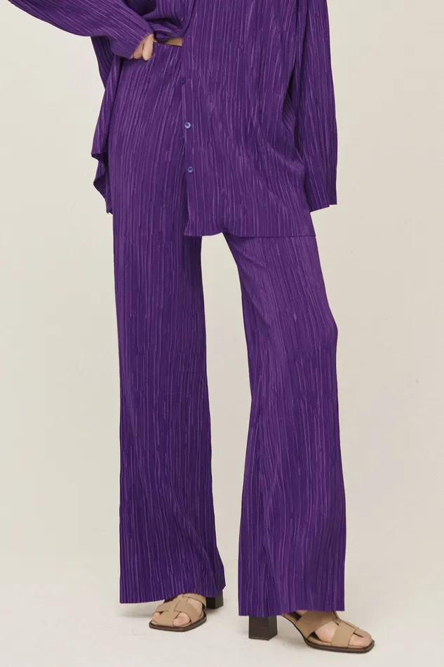 Storets Maria Flared Leg Plisse Pants Women Trousers