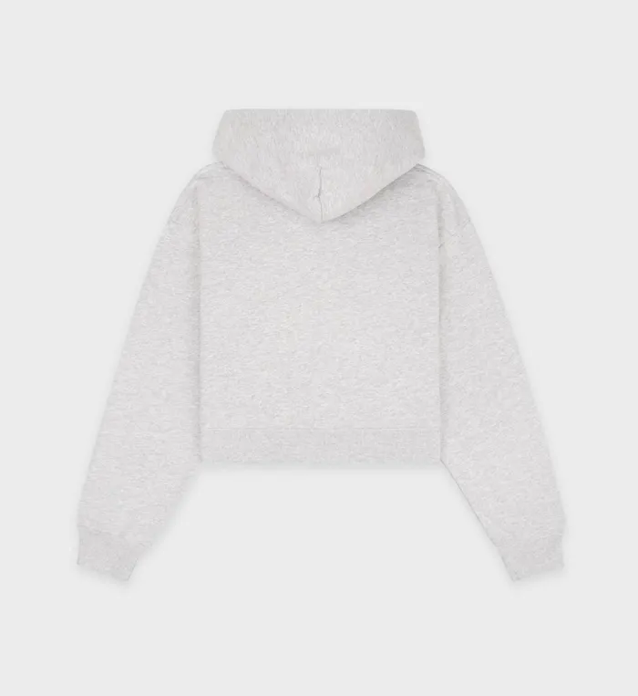 Sweatshirts Women Sporty and Rich NY Crest Cropped Hoodie 8211 Heather GrayGold
