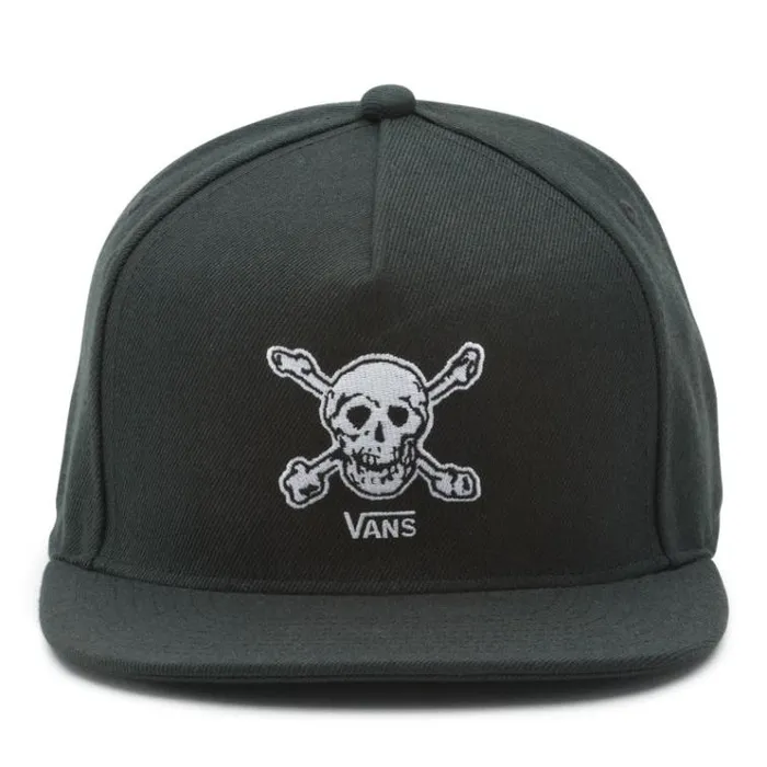 Vans Anaheim Factory Skull Snapback Hat OG Skulls Mens Hats and Beanies