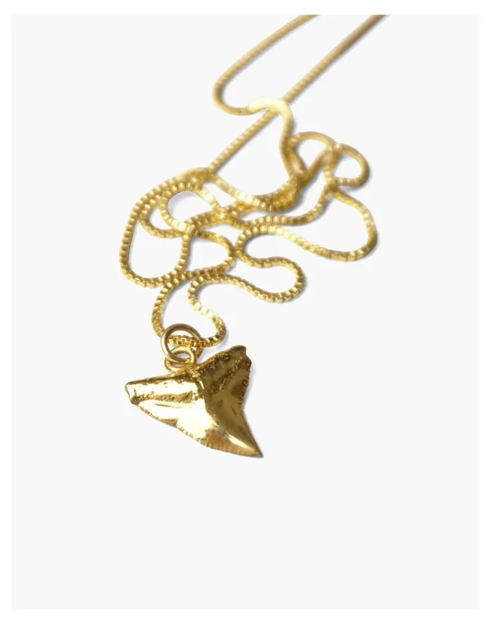 Women Charlotte Cauwe Studio Shark Tooth Necklace In Gold Gold Madewell Necklaces