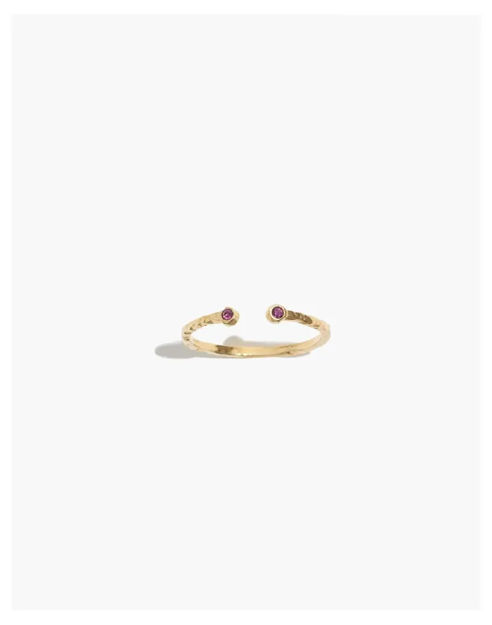 Women Katie Dean Jewelry 18k Gold Plated Birthstone Ring February Madewell Rings
