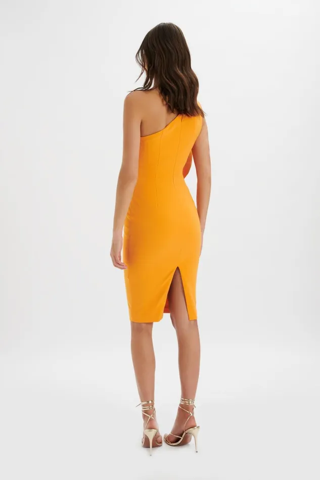 Women Off The Shoulder and Bardot Lavish Alice NOLA 3D Statement Ruffle Midi Dress In Papaya Papaya