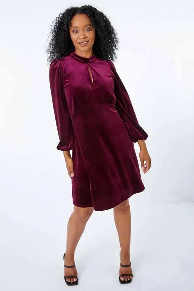Women Plum Petite Keyhole Stretch Velvet Dress Roman Dresses