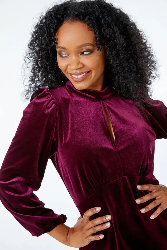 Women Plum Petite Keyhole Stretch Velvet Dress Roman Dresses