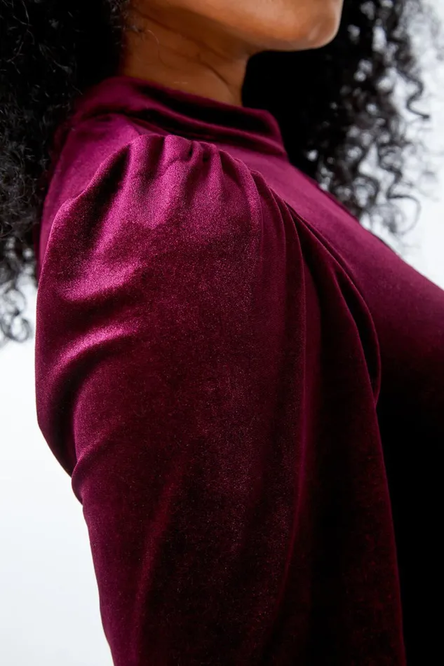 Women Plum Petite Keyhole Stretch Velvet Dress Roman Dresses